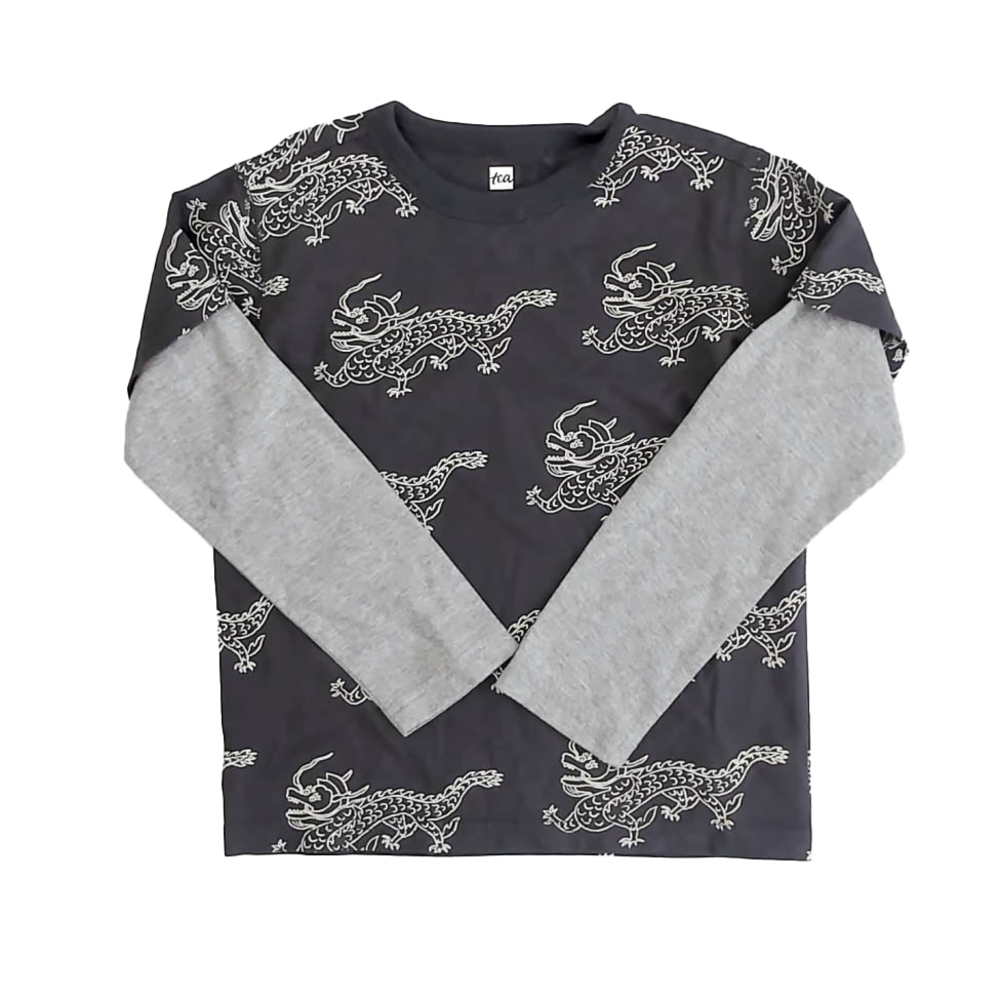 Tea Collection Boys Gray Dragon Long Sleeve T-Shirt size: 5T